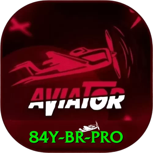 84y BR Pro - pak