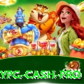 neypg Cash Pro